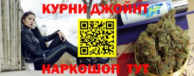 гашик Камышлов