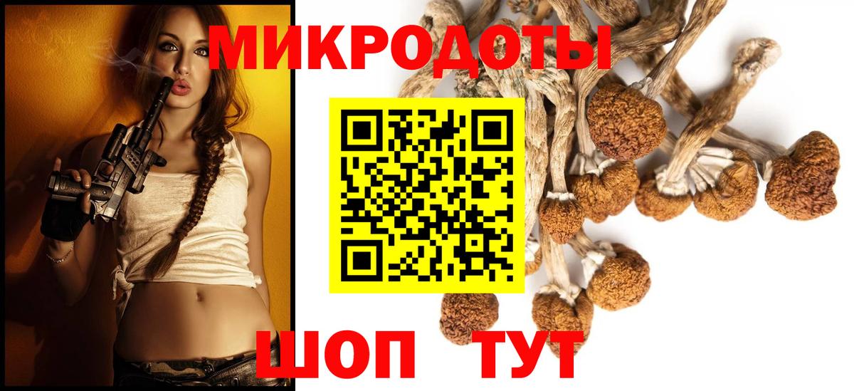 Псилоцибиновые грибы GOLDEN TEACHER Ленинск-Кузнецкий